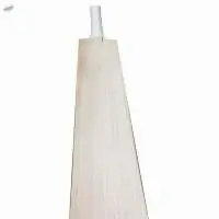 English Willow Cricket Bat