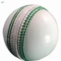 White Cricket Leather Ball