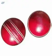 Red Cricket Leather Ball