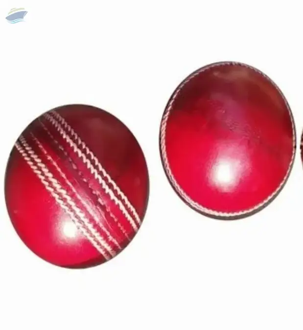 Red Cricket Leather Ball