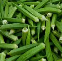 Okra Lady Finger