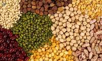 Pulses