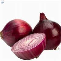 Fresh Onion