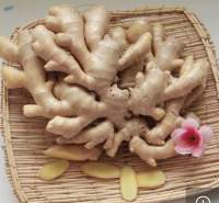 Chinese Organic Yellow Air Dried Ginger