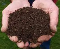 Vermicompost