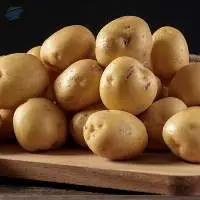 Potato