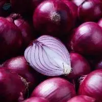 Onion