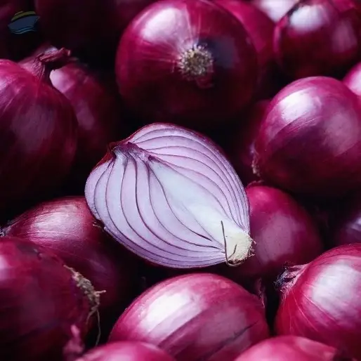 Onion