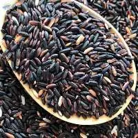 Black Glutinous Rice
