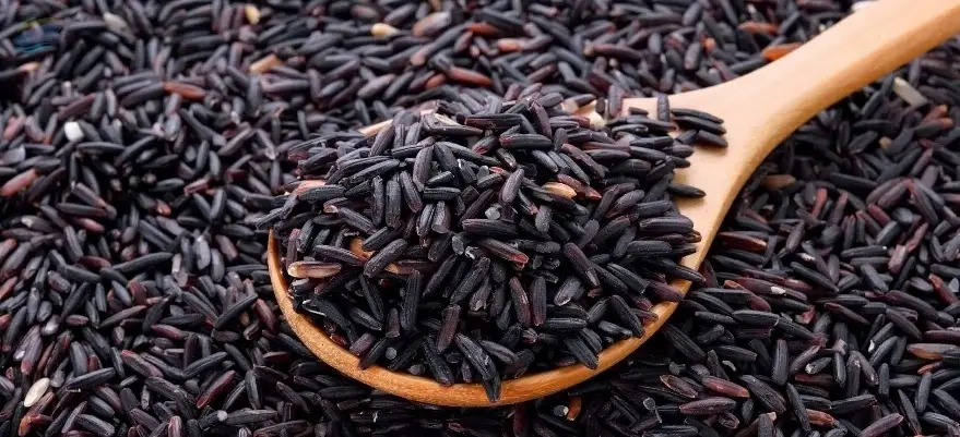 Riceberry Rice