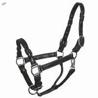Leather Halters