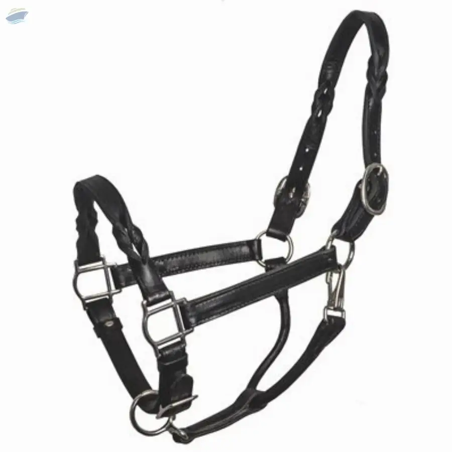 Leather Halters
