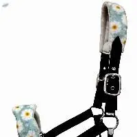 Nylon Halters