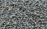 Arabica Coffee Green Beans