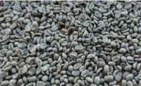 Arabica Coffee Green Beans