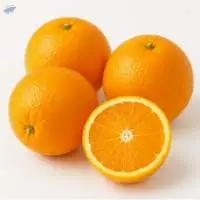 Fresh Oranges (Citrus Sinensis)