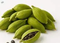 Green Cardamom (Elettaria Cardamomum)