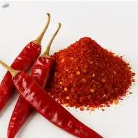 Red Chilli (Capsicum Annuum)