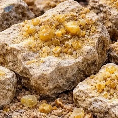 Phosphate Rocks