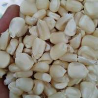 White Maize