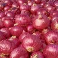 Red Onions