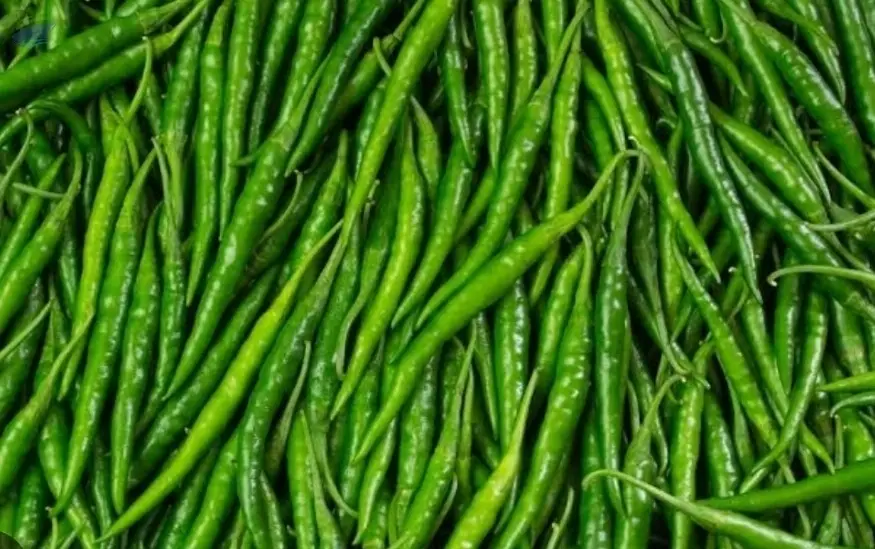 Green Chilli
