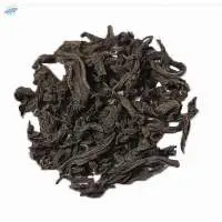 OPA 250G