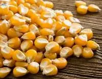 Yellow Corn