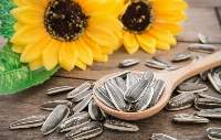 Sunflower Seeds