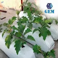 Coco Peat Grow Bag