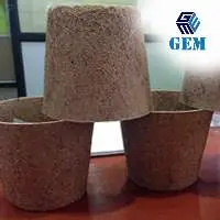 Coir Pot