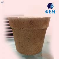 Coir Seed Germination Cup