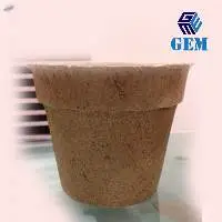 Coir Seed Germination Cup