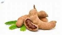 Tamarind
