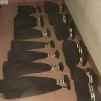 Processed Hair
