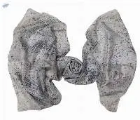 Pure Silk Scarves Printed