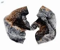 Silk Cashmere Scarves