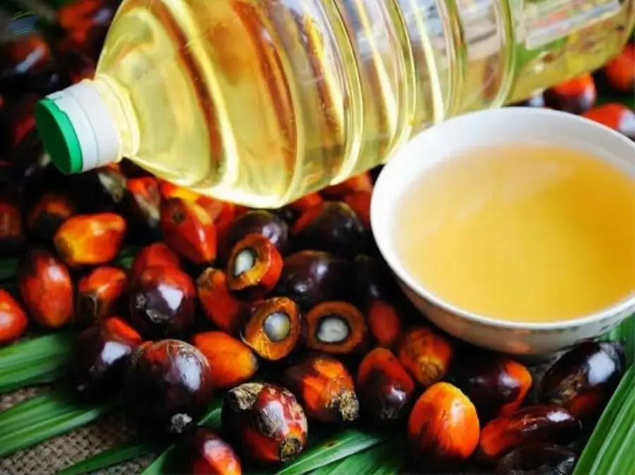 Refind Palm Oil ( CIF : 970$ / MT )