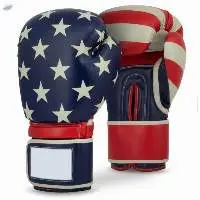 Custom Design Boxing Gloves For Professionals