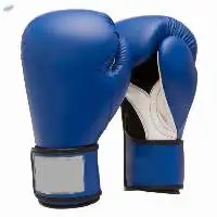 Professional Boxing Gloves