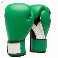Professional Fight Boxing Gloves