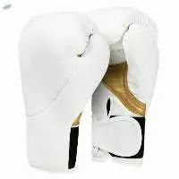 MMA Training Boxing Gloves