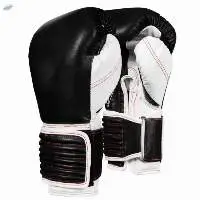 Training Boxing Gloves