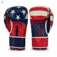 USA Flag Printed Boxing Gloves
