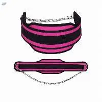 Heavy Duty Gym Dip Belt