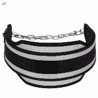 Weightlifting Pullup Dip Belt