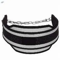 Weightlifting Pullup Dip Belt
