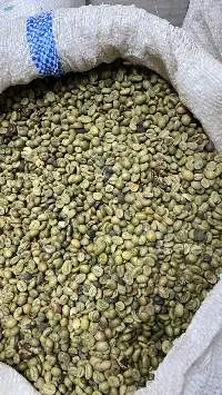 Arabica Green Beans