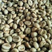 Robusta Coffee Beans