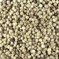 White Pepper